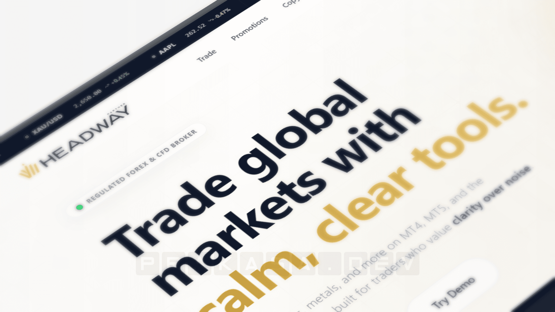 HW-FXTrade homepage close-up showing hero section with trading interface